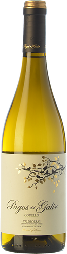 Pagos de Galir Godello 2019