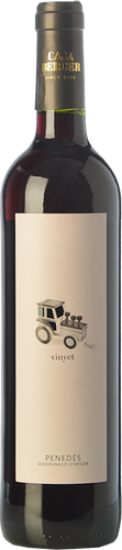 Vinyet Negre 2017