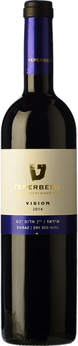 Vision Shiraz 2014