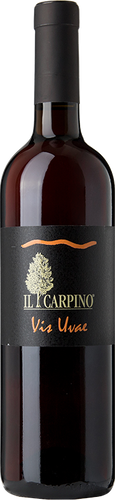 Il Carpino Pinot Grigio Vis Uvae 2015