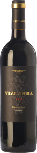 Vizcarra 2016