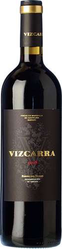 Vizcarra 2018