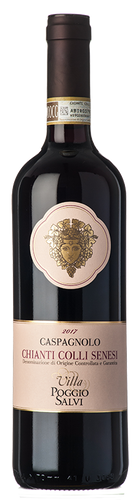 Villa Poggio Salvi Chianti Caspagnolo 2019