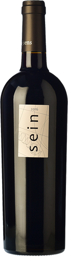 Sein 2017