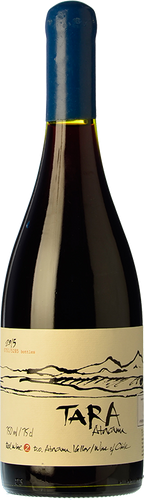 Ventisquero Tara Syrah 2015