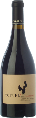 Yotuel Finca Valdepalacios 2009