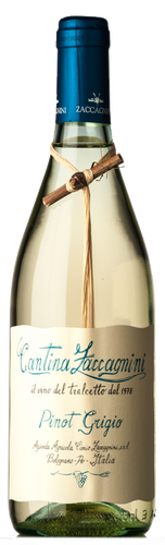 Zaccagnini Pinot Grigio Tralcetto 2019