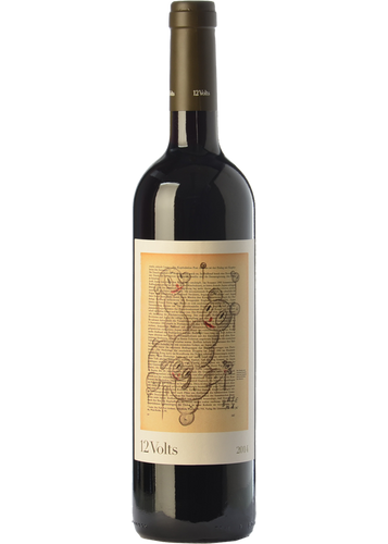 12 Volts 2023 (Magnum)