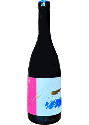 Athénaïs de Béru Côtes d'Auxerre 2022