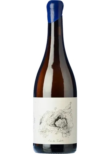 Anna Espelt Cap de Creus Pla de Tudela 2023