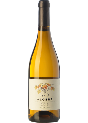 Aloers 2017