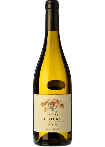 Aloers 2021