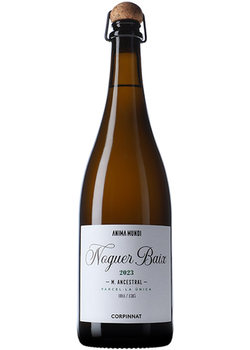 Anima Mundi Noguer Baix Ancestral 2023