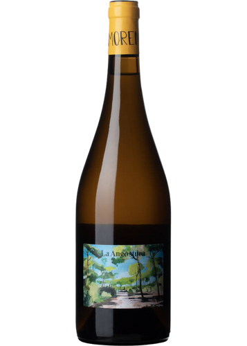 Raúl Moreno La Angostura 2024