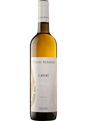 Planas Albareda L'Avenc 2024