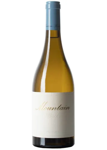 Bertha Mountain 2023