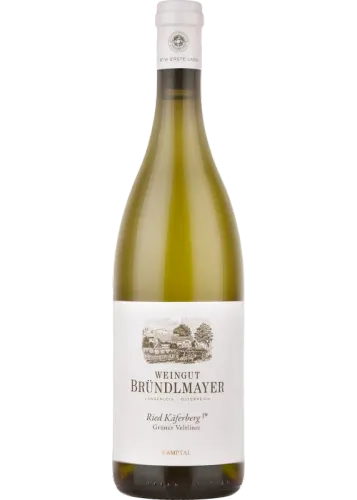 Bründlmayer Grüner Veltliner Käferberg 1ÖTW 2022