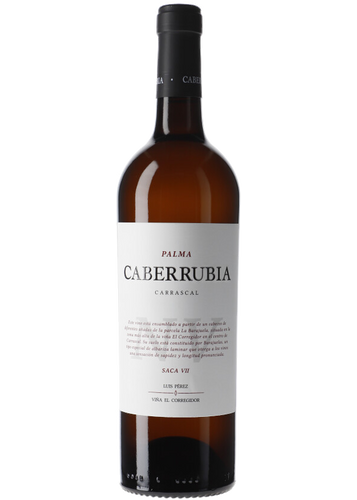 Luis Pérez Fino Caberrubia Saca VII