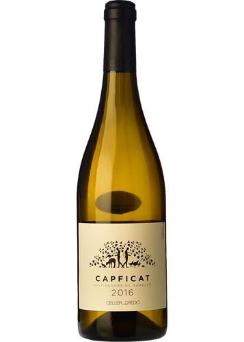 Capficat 2019