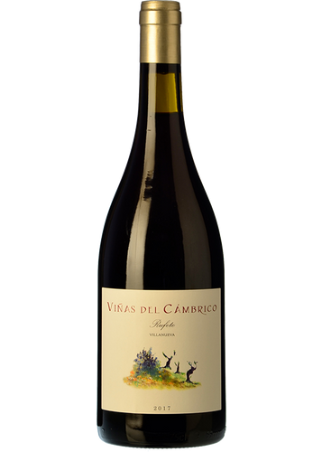 Viñas del Cámbrico Villanueva 2022