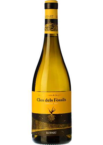 Llopart Clos dels Fòssils 2024
