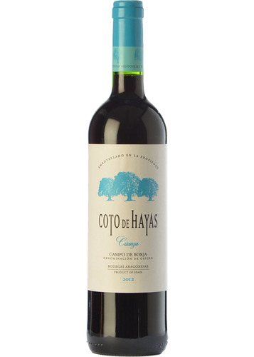 Coto de Hayas Crianza 2021