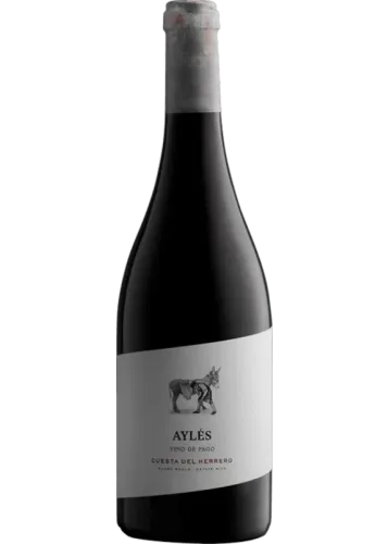 Cuesta del Herrero 2022 (Magnum)