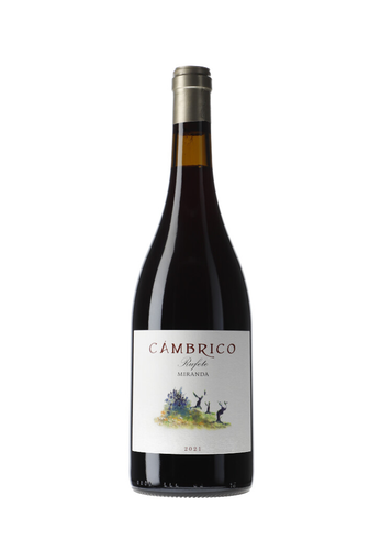 Cámbrico Miranda Rufete 2021