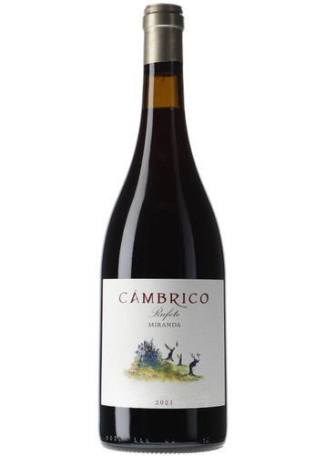 Cámbrico Miranda Rufete 2021