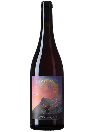 Còsmic Consciència Còsmica 2024