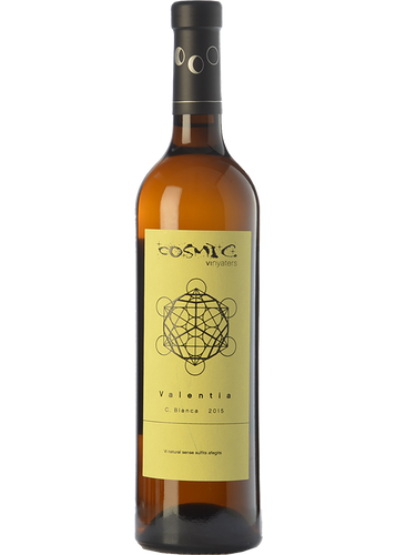 Còsmic Valentia 2023