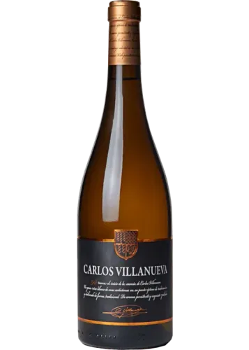 Carlos Villanueva Godello 2025