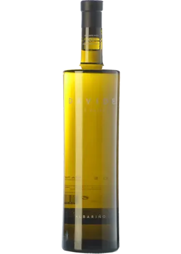 Davide Albariño 2024