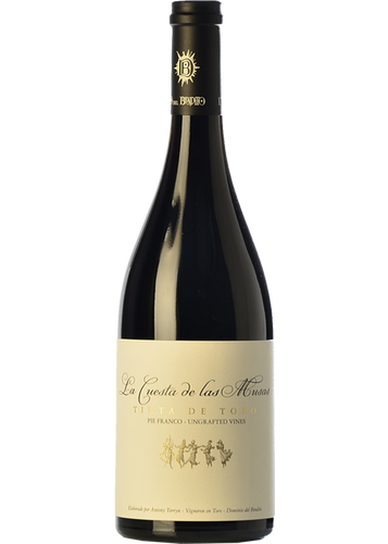 Dominio del Bendito La Cuesta de las Musas 2019