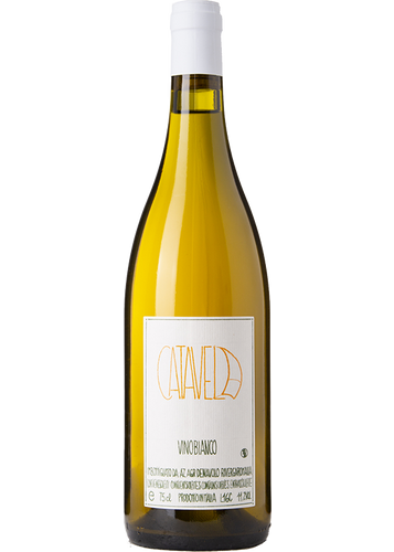 Denavolo Catavela 2024