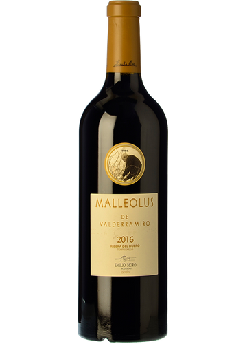 Malleolus de Valderramiro 2021
