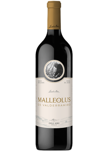 Malleolus de Valderramiro 2021