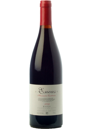 Muga Eneas 2024