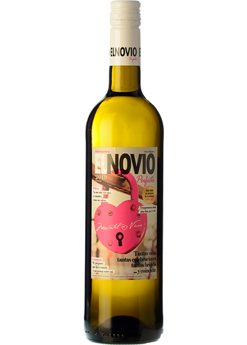 El Novio Perfecto 2025