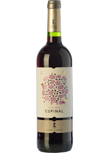 Dominio de Espinal 2024