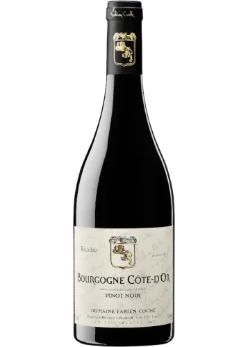 Fabien Coche Côte d'Or Pinot Noir 2023