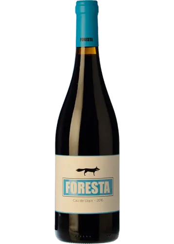 Foresta Cau de Llops 2017