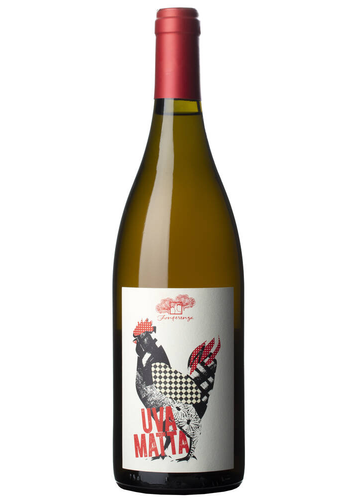 Fonterenza Uva Matta Bianco 2023