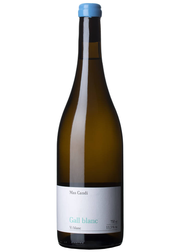 Mas Candí Gall Blanc 2024