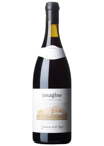 Gutiérrez de la Vega Imagine 2021