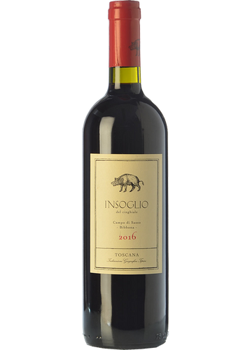 Campo di Sasso Insoglio del Cinghiale 2023
