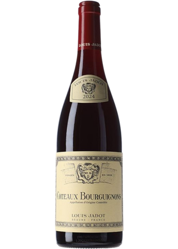 Louis Jadot Coteaux Bourguignons Rouge 2024