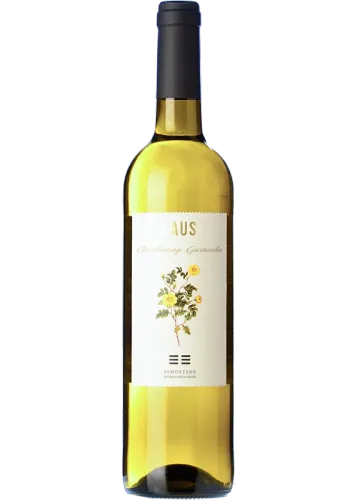 Laus Blanco 2024