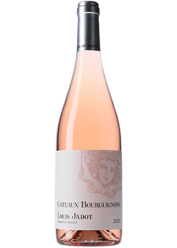 Louis Jadot Coteaux Bourguignons Rosé 2024
