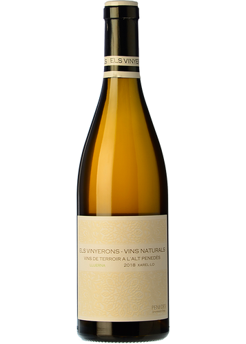 Els Vinyerons Lluerna Blanc 2024